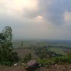 andy_saja2