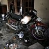budi_sntso07