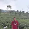 afenalfandi