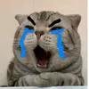 truonggiabao82728