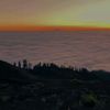 wayandra1