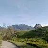 gasukabuahalpukat