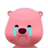 hoqchoynpunu_a
