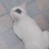 tikok.ngocyen