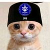 nii._cireng