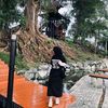 dhevy_vhy1