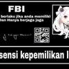 tomihidayat506