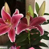 sandraregina5126