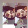 alisyaaaaaaajasih_
