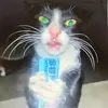 dan._.notfrom63