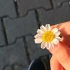 itsminee_4