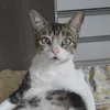 donysantos63
