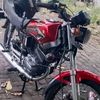 mastrexx1