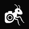 ant_foto