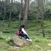 bawellkesayangan8