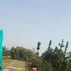 dhirajroy736