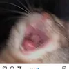 isabbb30