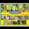 Fendy alvaro durian.01