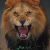 dy7bdso6ob9u