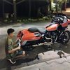 ariv_horre