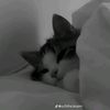 umaarr._07