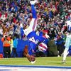 buffalo_fan123