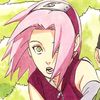 harly_1412