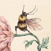 beesinasuit