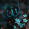aliaan_24