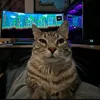goodluck_immortal