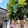 zaynaaa06