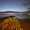 oliver_2387