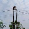 rizalfauzi7959
