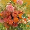judieflorres