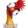 elpollitopio9220