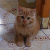 bigboy_39