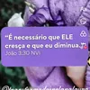 arianalili5462
