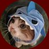 imissmycatt1