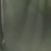 dssswann