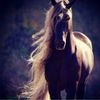 aljadel_7