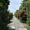 usahada_27