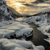 arthur_1249