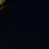 anonymuss.23