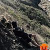 kikimprut1