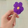 w_t_rahma