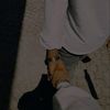 mehadramadan6