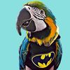 noplucksgiven