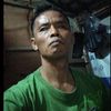 timbul331