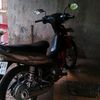 pinoo_rorrr