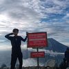 vinnxstars